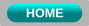 Home button